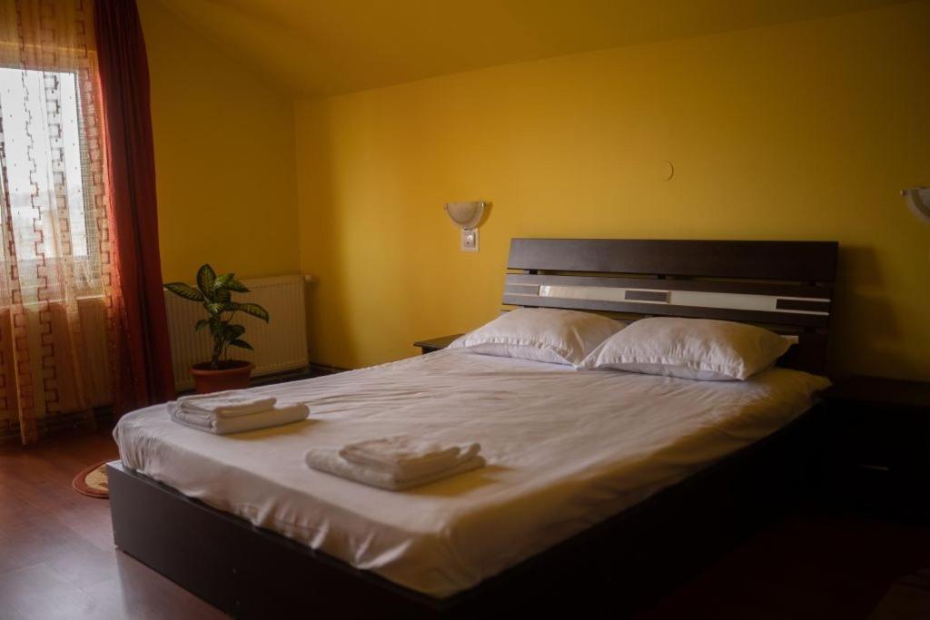 Casa Ramona Apartment Turda Bagian luar foto