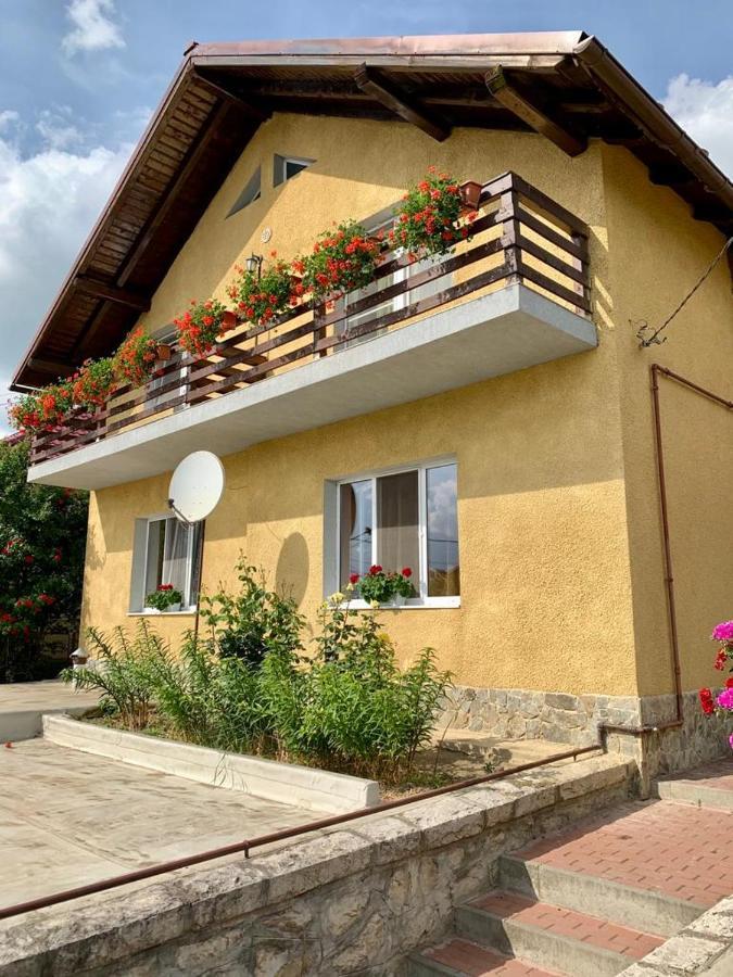 Casa Ramona Apartment Turda Bagian luar foto