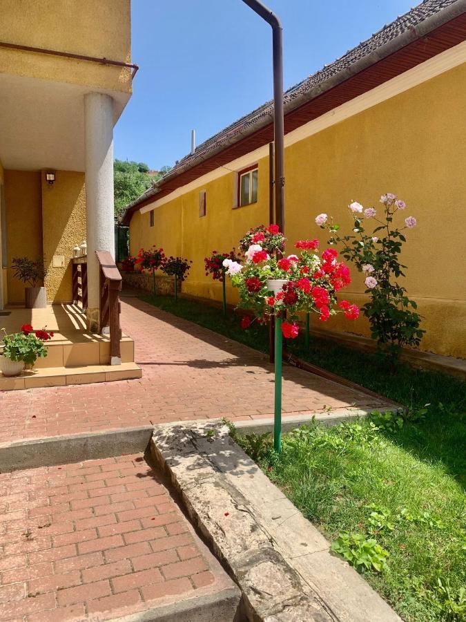Casa Ramona Apartment Turda Bagian luar foto
